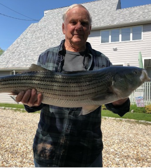 about-img04